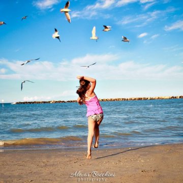 seagulls on the beach