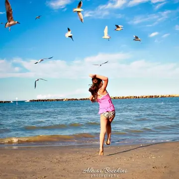 mare e gabbiani mare e gabbiani