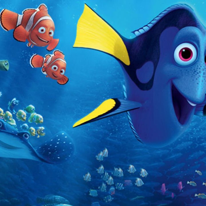 ALLA RICERCA DI DORY ALLA RICERCA DI DORY